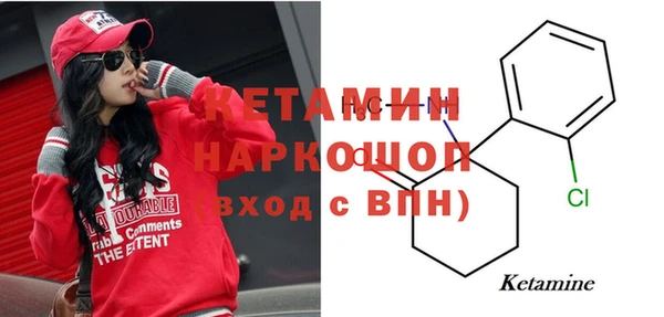 прущие грибы Аркадак