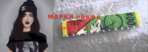 прущие грибы Аркадак