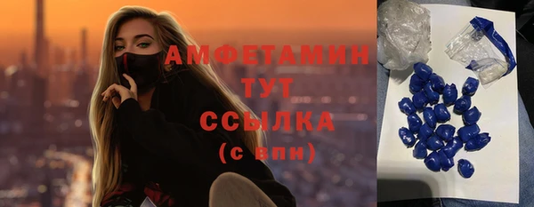 прущие грибы Аркадак