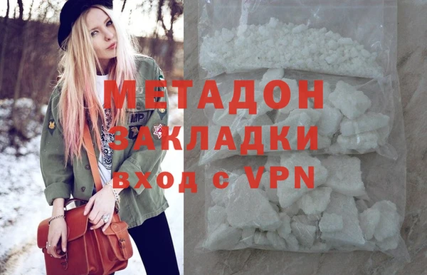 прущие грибы Аркадак