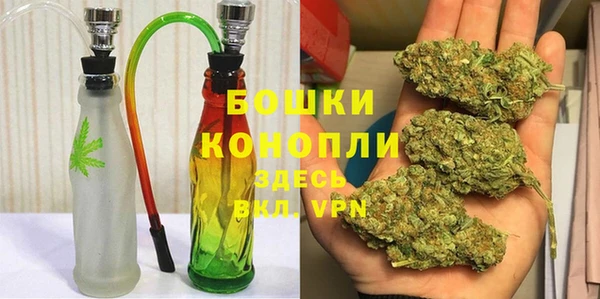 прущие грибы Аркадак
