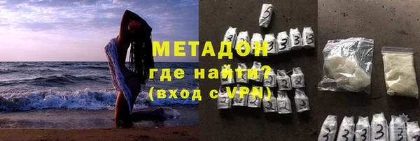 прущие грибы Аркадак